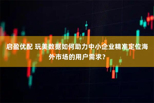 启盈优配 玩美数据如何助力中小企业精准定位海外市场的用户需求？