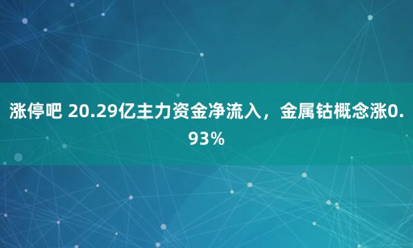 涨停吧 20.29亿主力资金净流入，金属钴概念涨0.93%