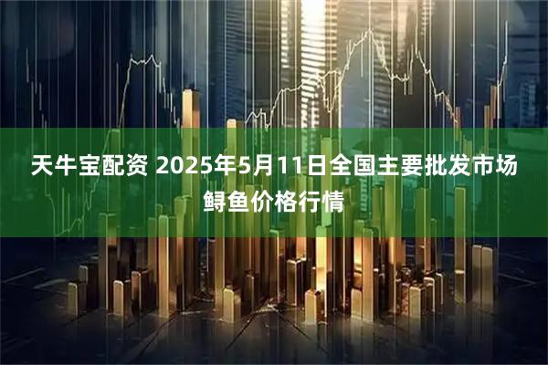天牛宝配资 2025年5月11日全国主要批发市场鲟鱼价格行情