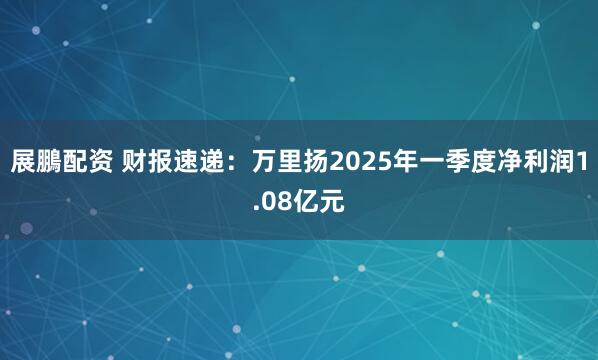 展鵬配资 财报速递：万里扬2025年一季度净利润1.08亿元