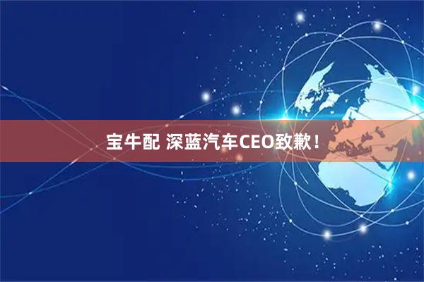 宝牛配 深蓝汽车CEO致歉!